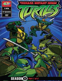 Teenage Mutant Ninja Turtles (2003) Season 01
